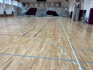 Pályafestés